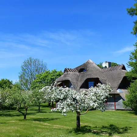 Tatil parkı Tourist Farm Toomalõuka