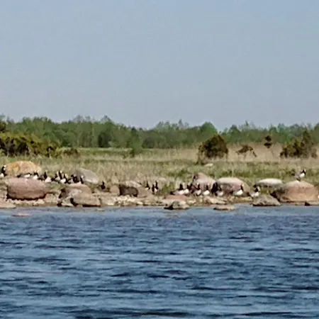 Tatil parkı Tourist Farm