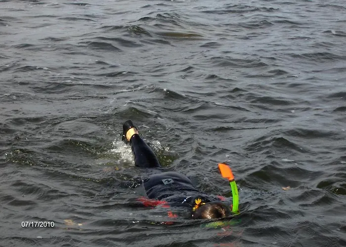 منتزه العطل Tourist Farm *