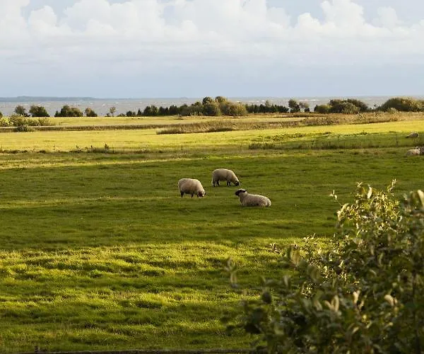 منتزه العطل Tourist Farm Toomalõuka