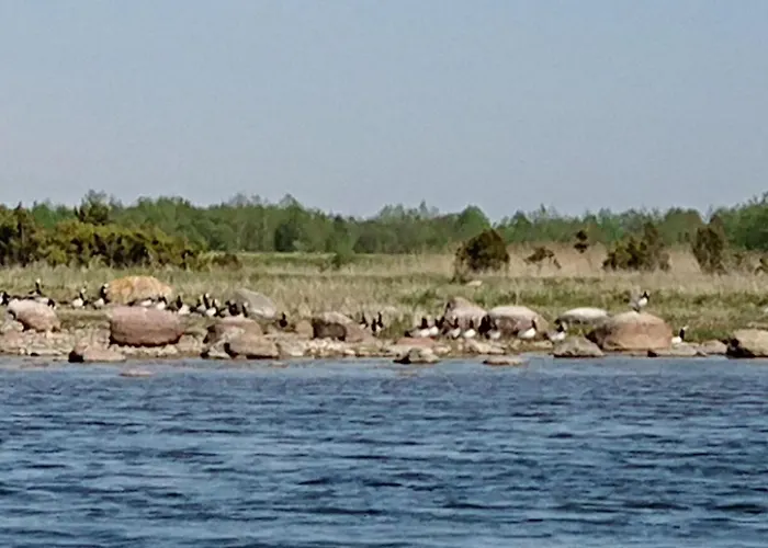 منتزه العطل Tourist Farm